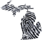 outline of the state of Michigan